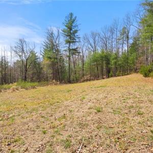 Photo #31 of 1163 Mills, Mount Airy, NC 10.6 acres