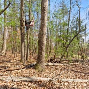 Photo #25 of 1163 Mills, Mount Airy, NC 10.6 acres