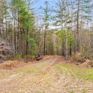Photo #1 of 1163 Mills, Mount Airy, NC 10.6 acres