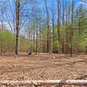 Photo #29 of 1163 Mills, Mount Airy, NC 10.6 acres