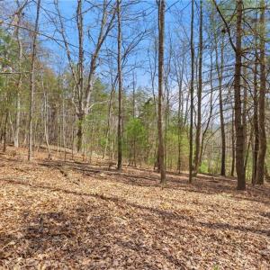 Photo #28 of 1163 Mills, Mount Airy, NC 10.6 acres