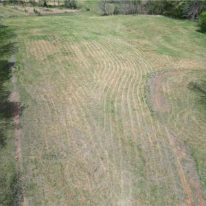 Photo #6 of NC Highway 49, Denton, NC 60.0 acres