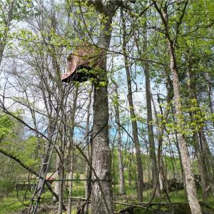 Photo #13 of NC Highway 49, Denton, NC 60.0 acres