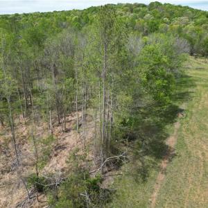 Photo #7 of NC Highway 49, Denton, NC 60.0 acres