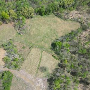 Photo #36 of NC Highway 49, Denton, NC 60.0 acres