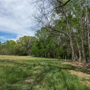 Photo #1 of NC Highway 49, Denton, NC 60.0 acres