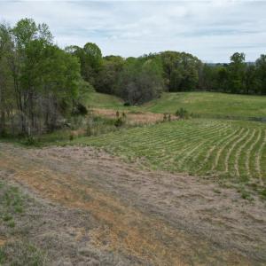 Photo #5 of NC Highway 49, Denton, NC 60.0 acres