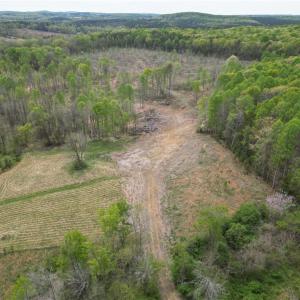 Photo #24 of NC Highway 49, Denton, NC 60.0 acres