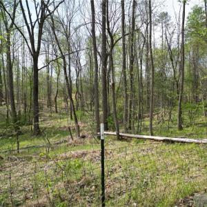 Photo #10 of NC Highway 49, Denton, NC 60.0 acres