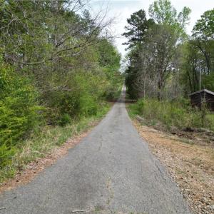 Photo #18 of NC Highway 49, Denton, NC 60.0 acres