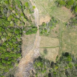 Photo #37 of NC Highway 49, Denton, NC 60.0 acres