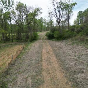Photo #15 of NC Highway 49, Denton, NC 60.0 acres
