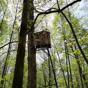 Photo #11 of NC Highway 49, Denton, NC 60.0 acres