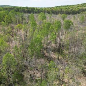 Photo #27 of NC Highway 49, Denton, NC 60.0 acres