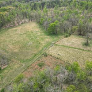 Photo #22 of NC Highway 49, Denton, NC 60.0 acres