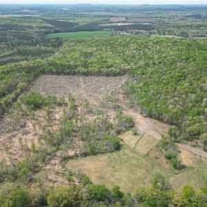 Photo #3 of NC Highway 49, Denton, NC 60.0 acres