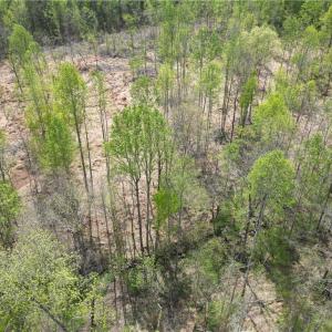 Photo #28 of NC Highway 49, Denton, NC 60.0 acres
