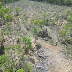 Photo #34 of NC Highway 49, Denton, NC 60.0 acres