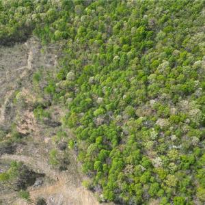 Photo #37 of NC Highway 49, Denton, NC 60.0 acres
