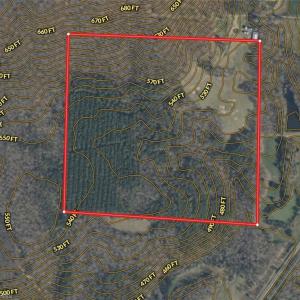 Photo #39 of NC Highway 49, Denton, NC 60.0 acres