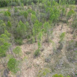 Photo #25 of NC Highway 49, Denton, NC 60.0 acres