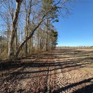 Photo #13 of Hammonds, Lumberton, NC 74.1 acres