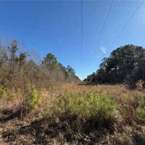 Photo #17 of Hammonds, Lumberton, NC 74.1 acres