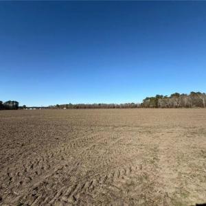 Photo #12 of Hammonds, Lumberton, NC 74.1 acres