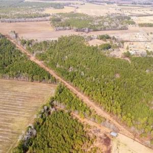 Photo #7 of Hammonds, Lumberton, NC 74.1 acres