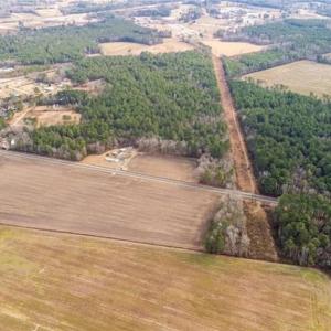 Photo #3 of Hammonds, Lumberton, NC 74.1 acres