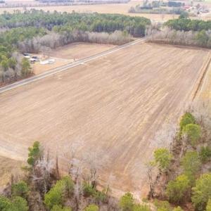 Photo #5 of Hammonds, Lumberton, NC 74.1 acres