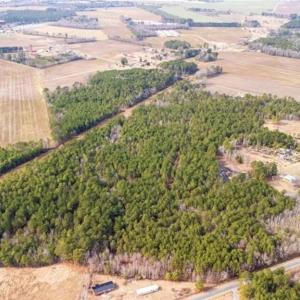 Photo #9 of Hammonds, Lumberton, NC 74.1 acres