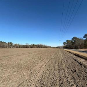 Photo #10 of Hammonds, Lumberton, NC 74.1 acres