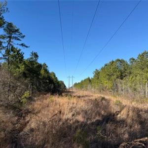 Photo #18 of Hammonds, Lumberton, NC 74.1 acres