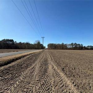 Photo #11 of Hammonds, Lumberton, NC 74.1 acres