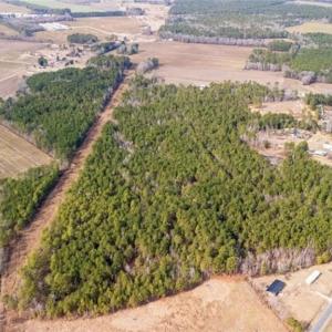 Photo #8 of Hammonds, Lumberton, NC 74.1 acres