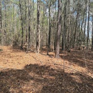 Photo #2 of Lot 7 Thompson, Seagrove, NC 10.3 acres