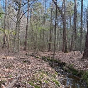 Photo #13 of Lot 7 Thompson, Seagrove, NC 10.3 acres