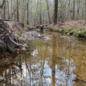 Photo #7 of Lot 7 Thompson, Seagrove, NC 10.3 acres