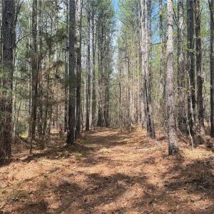 Photo #3 of Lot 7 Thompson, Seagrove, NC 10.3 acres
