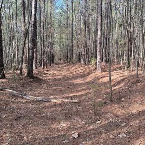 Photo #5 of Lot 7 Thompson, Seagrove, NC 10.3 acres