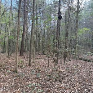 Photo #9 of Lot 7 Thompson, Seagrove, NC 10.3 acres