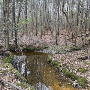 Photo #10 of Lot 7 Thompson, Seagrove, NC 10.3 acres