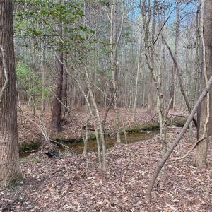 Photo #11 of Lot 7 Thompson, Seagrove, NC 10.3 acres
