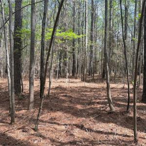 Photo #4 of Lot 7 Thompson, Seagrove, NC 10.3 acres