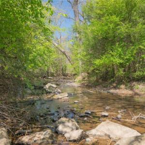 Photo #30 of 32286 Laton, Albemarle, NC 54.0 acres