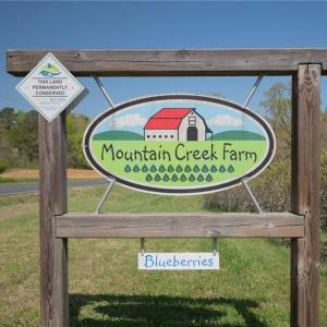 Photo #4 of 32286 Laton, Albemarle, NC 54.0 acres