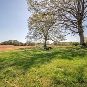 Backyard views from historic farmhouse