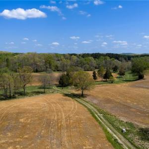 Rolling farmland