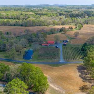54.04 private acres with pond, creek, and existing agricultural infrastructure